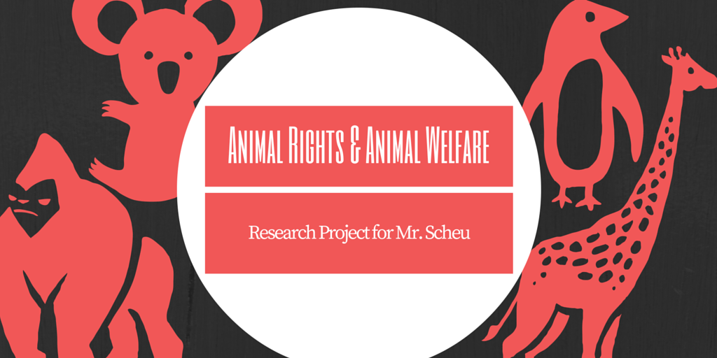 Animal Rights & Animal Welfare